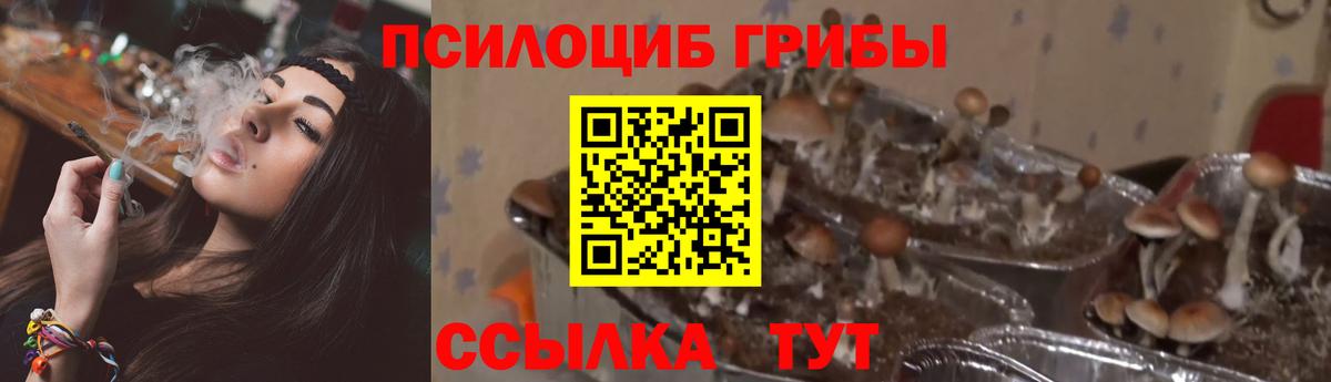 Кириши  Галлюциногенные грибы мухоморы  Вход с VPN 